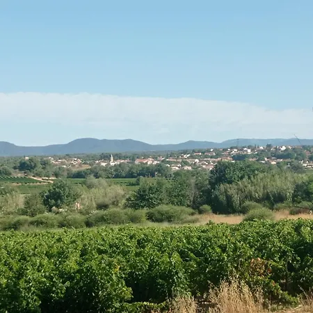 Les Oliviers Bed & Breakfast Puisserguier