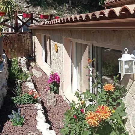Les Oliviers Bed & Breakfast